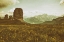 Picture of FLORAL FIELDS