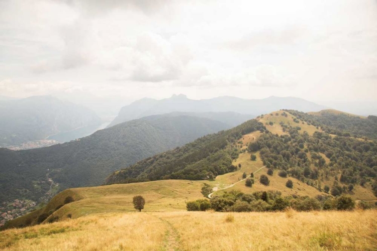 Picture of GRASSY HILLS AND MOUNTAINS