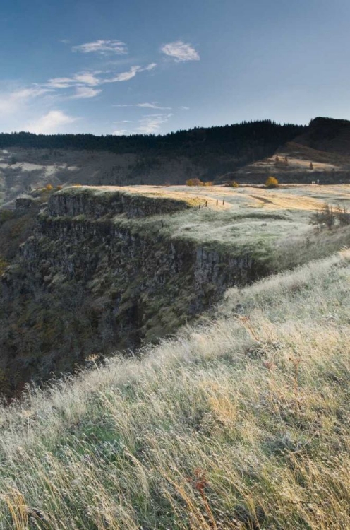 Picture of COLUMBIA RIVER GORGE