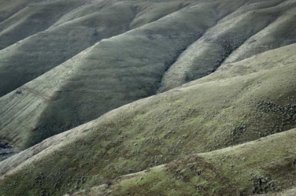 Picture of COLUMBIA PLATEAU OREGON