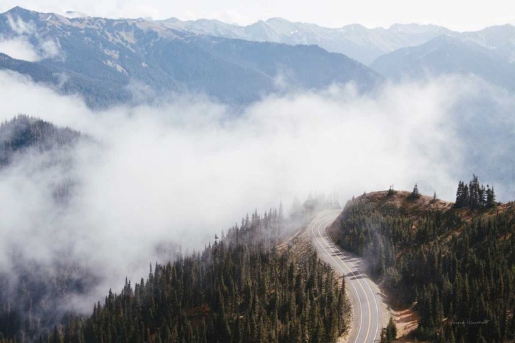 Picture of HURRICANE RIDGE III