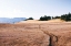 Picture of HURRICANE HILL I