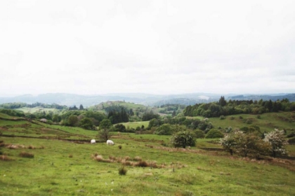 Picture of LAKE DISTRICT I