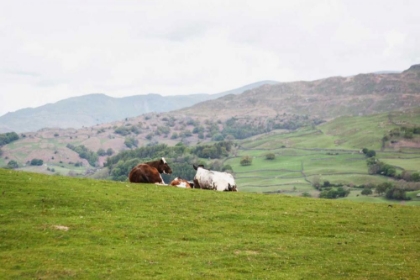 Picture of LAKE DISTRICT III