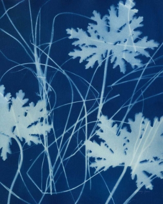 Picture of ENCHANTED CYANOTYPE IV
