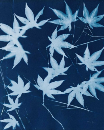 Picture of ENCHANTED CYANOTYPE V