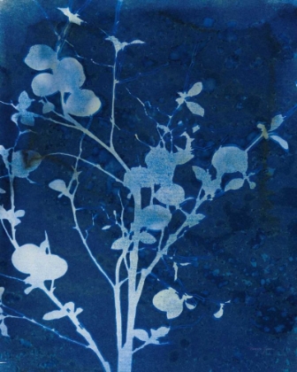 Picture of ENCHANTED CYANOTYPE VI