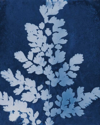Picture of ENCHANTED CYANOTYPE VII