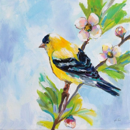 Picture of GOLDEN FINCH