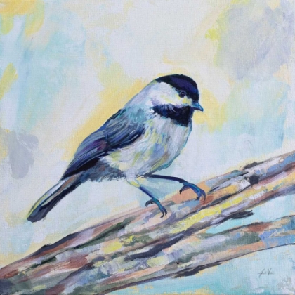 Picture of CHICKADEE