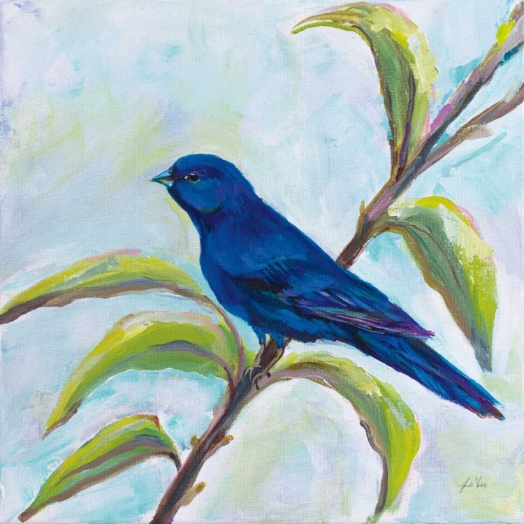 Picture of INDIGO BUNTING