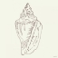 Picture of COASTAL BREEZE SHELL SKETCHES III SILVER