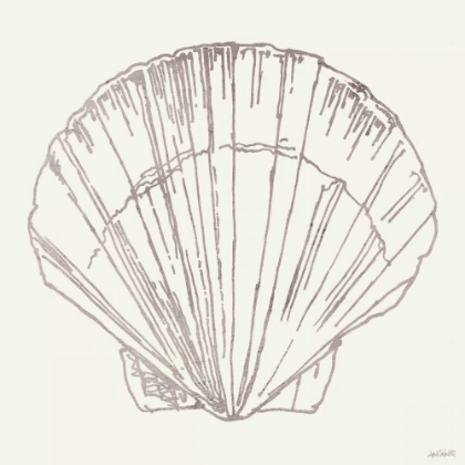 Picture of COASTAL BREEZE SHELL SKETCHES V SILVER