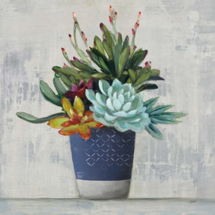 Picture of SUCCULENT STILL LIFE I NAVY