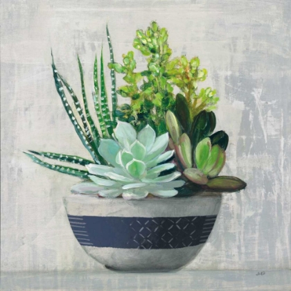 Picture of SUCCULENT STILL LIFE II NAVY