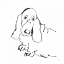 Picture of LINE DOG BASSET HOUND