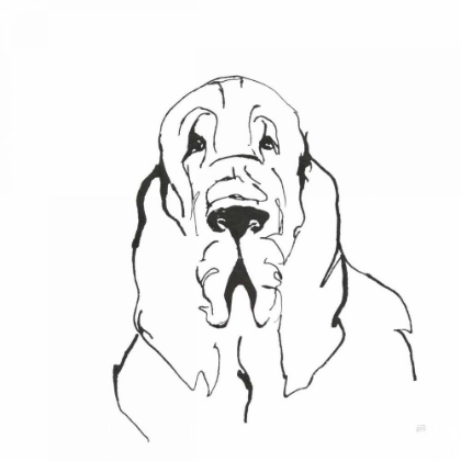 Picture of LINE DOG BLOODHOUND II