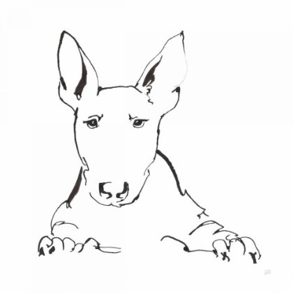 Picture of LINE DOG BULL TERRIER