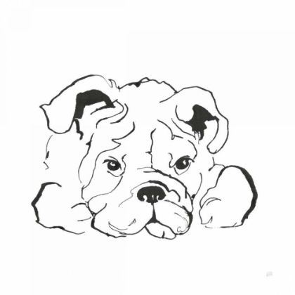 Picture of LINE DOG BULLDOG II