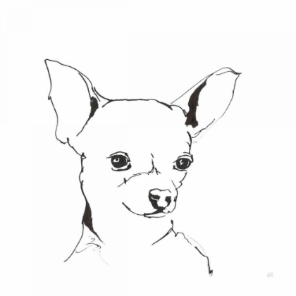 Picture of LINE DOG CHIHUAHUA