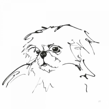 Picture of LINE DOG PEKINGESE