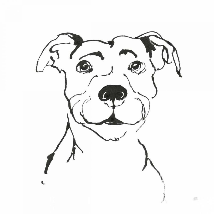 Picture of LINE DOG PITBULL I