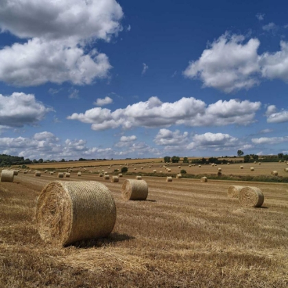 Picture of ROUND BALES