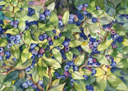 Picture of BLUEBERRIES
