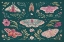 Picture of WINGED STUDY I PLUM