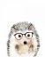 Picture of HEDGEHOG IN GLASSES
