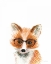 Picture of FOX IN GLASSES