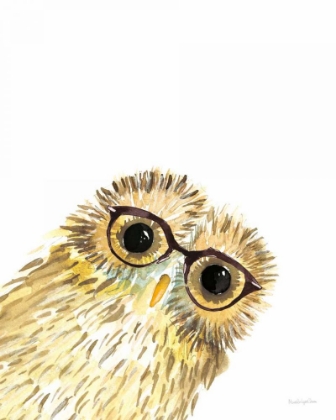 Picture of OWL IN GLASSES