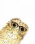 Picture of OWL IN GLASSES