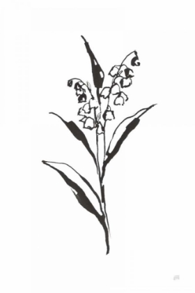 Picture of LINE LILY OF THE VALLEY II