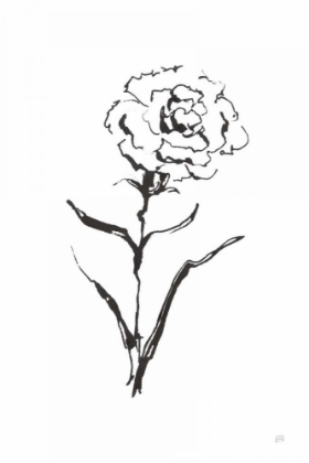 Picture of LINE CARNATION I
