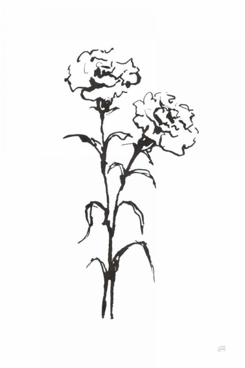 Picture of LINE CARNATION II