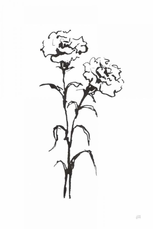 Picture of LINE CARNATION II