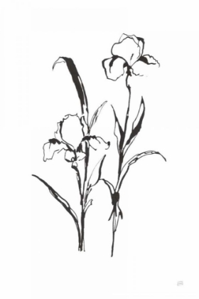 Picture of LINE IRIS I