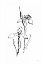 Picture of LINE IRIS II
