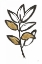 Picture of LEAFED IX