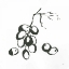 Picture of GRAPES I BW