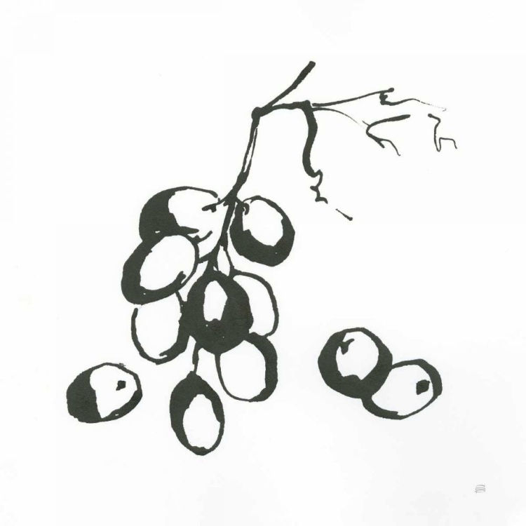 Picture of GRAPES I BW