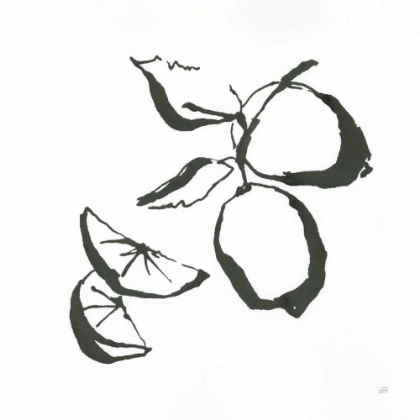 Picture of LIMES BW