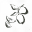 Picture of LIMES BW