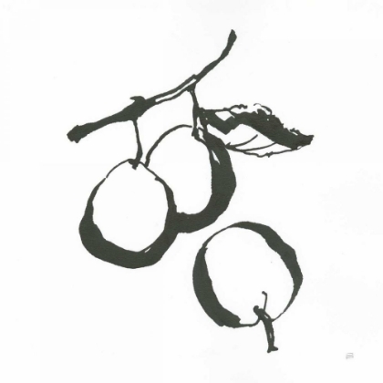 Picture of PLUMS II BW