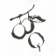 Picture of PLUMS II BW