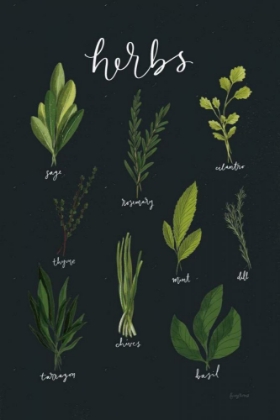 Picture of HERBS I BLACK