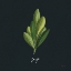 Picture of HERBS II BLACK