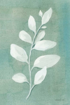 Picture of SAGE LEAVES I