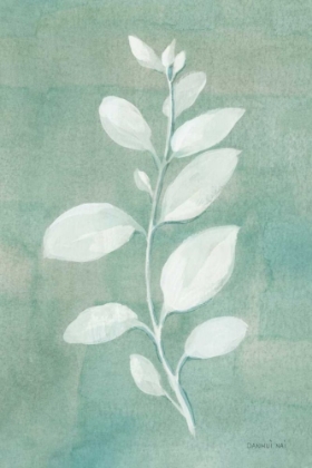 Picture of SAGE LEAVES II